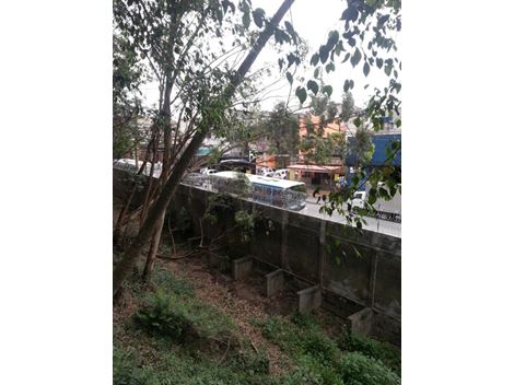 Retirada de Troncos no Morumbi