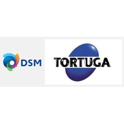 Tortuga - DSM